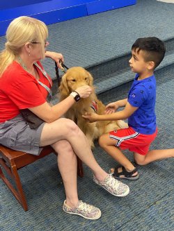 Golden P.A.W.S. Assistance Dogs